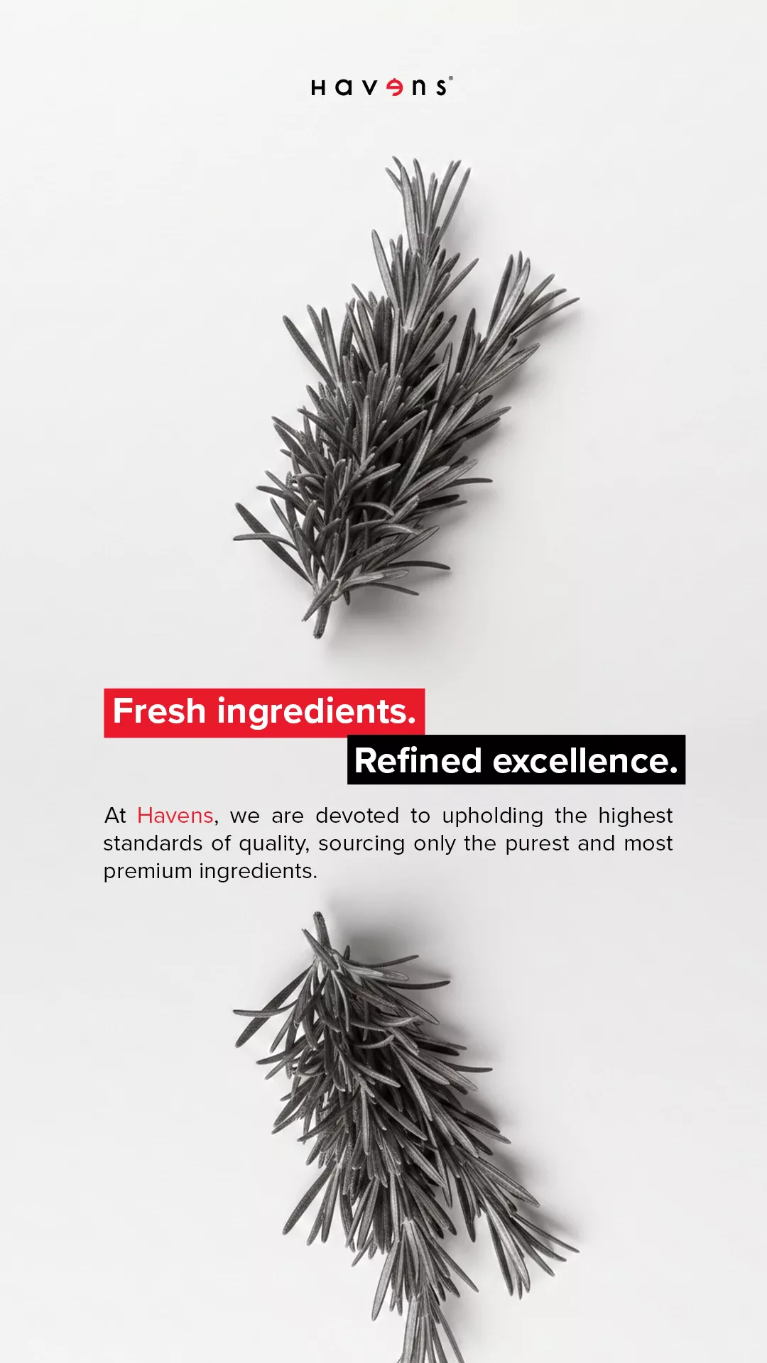 Havens fresh ingredients brand story design